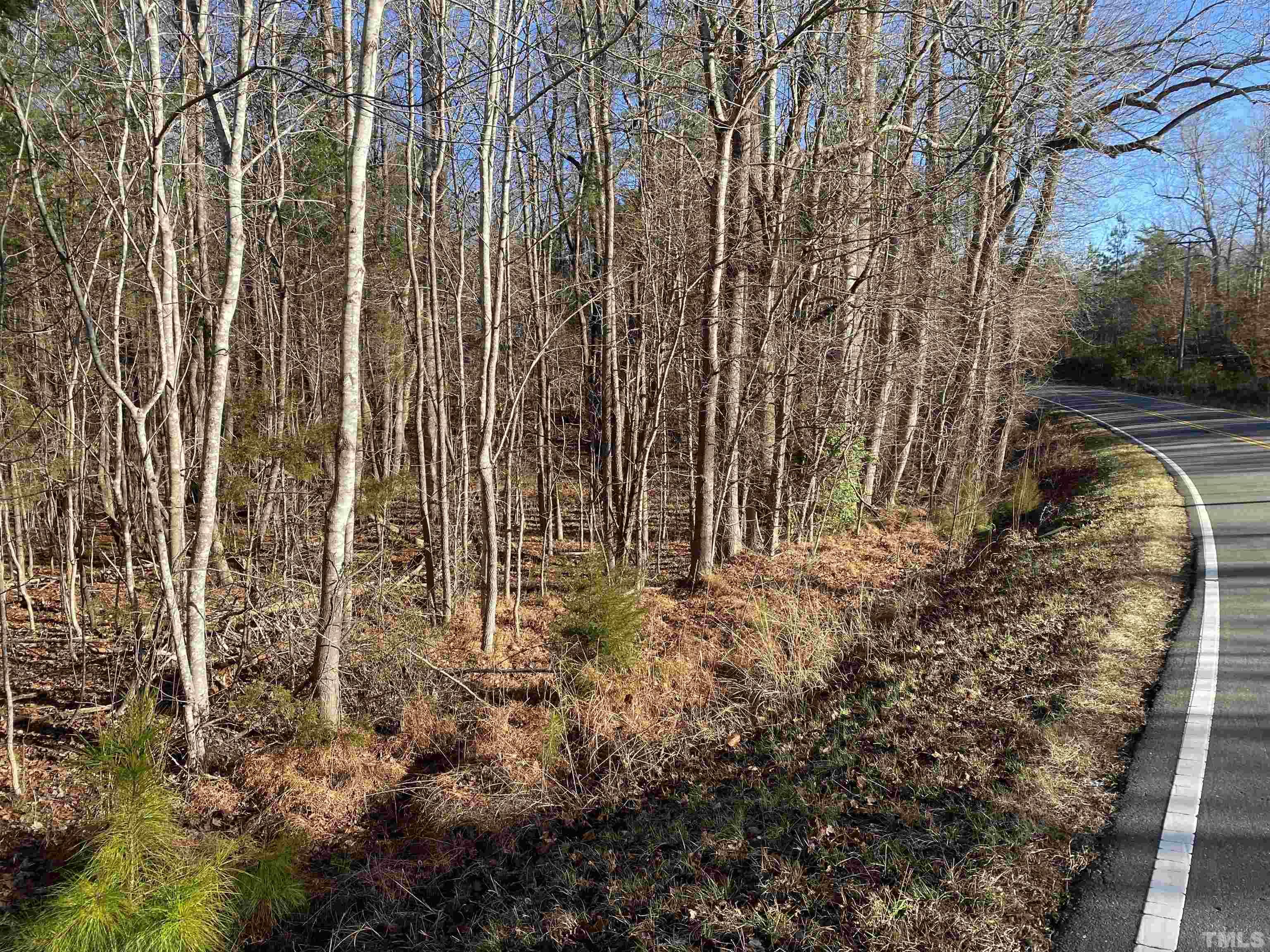 3121 Red Mountain Road Rougemont, NC 27572 - Photo 6 of 8 a view of a yard with large trees