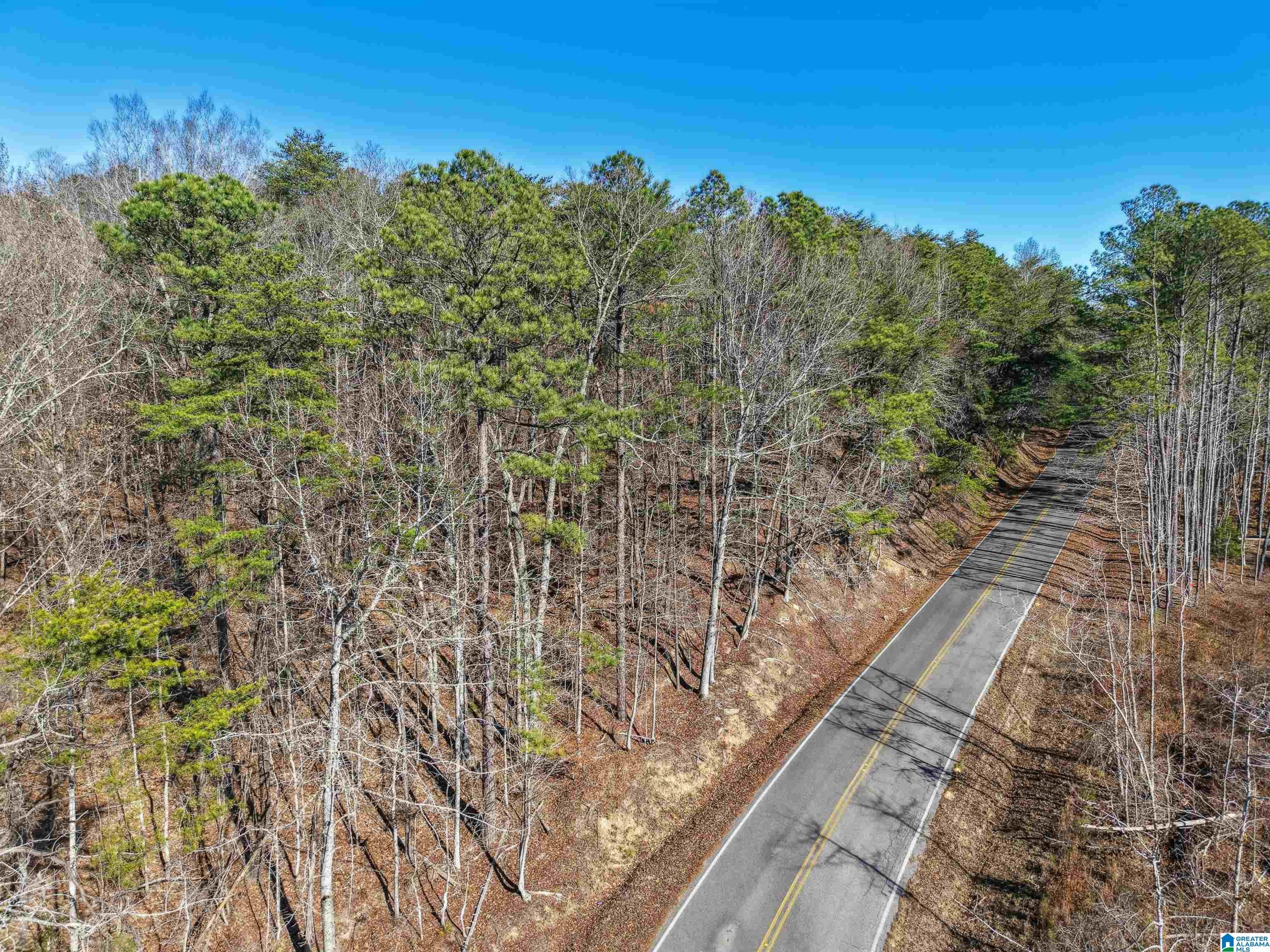 15065 Lock 17 Road, Unit 1 Adger, AL 35006 - Photo 10 of 10