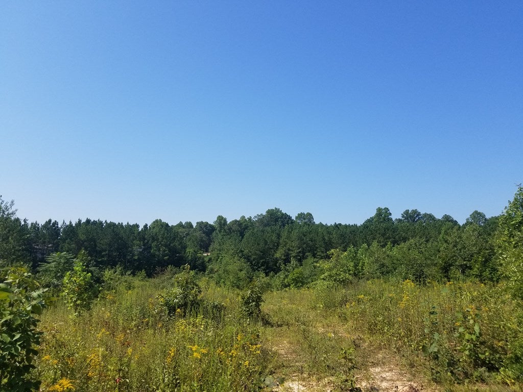 Pumping Station Road, Unit 3 Spout Spring, VA 24593 - Photo 6 of 6 Gallery Image 6