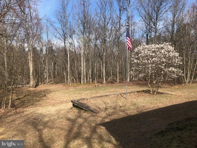31 McKinneytown Road North East, MD 21901 - Photo 6 of 6 Front Yard