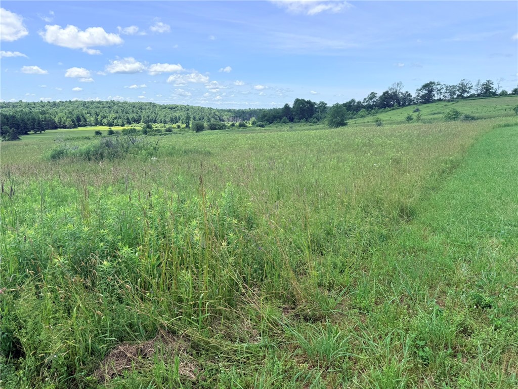L19 North Pond Road Guilford, NY 13780 - Photo 14 of 19