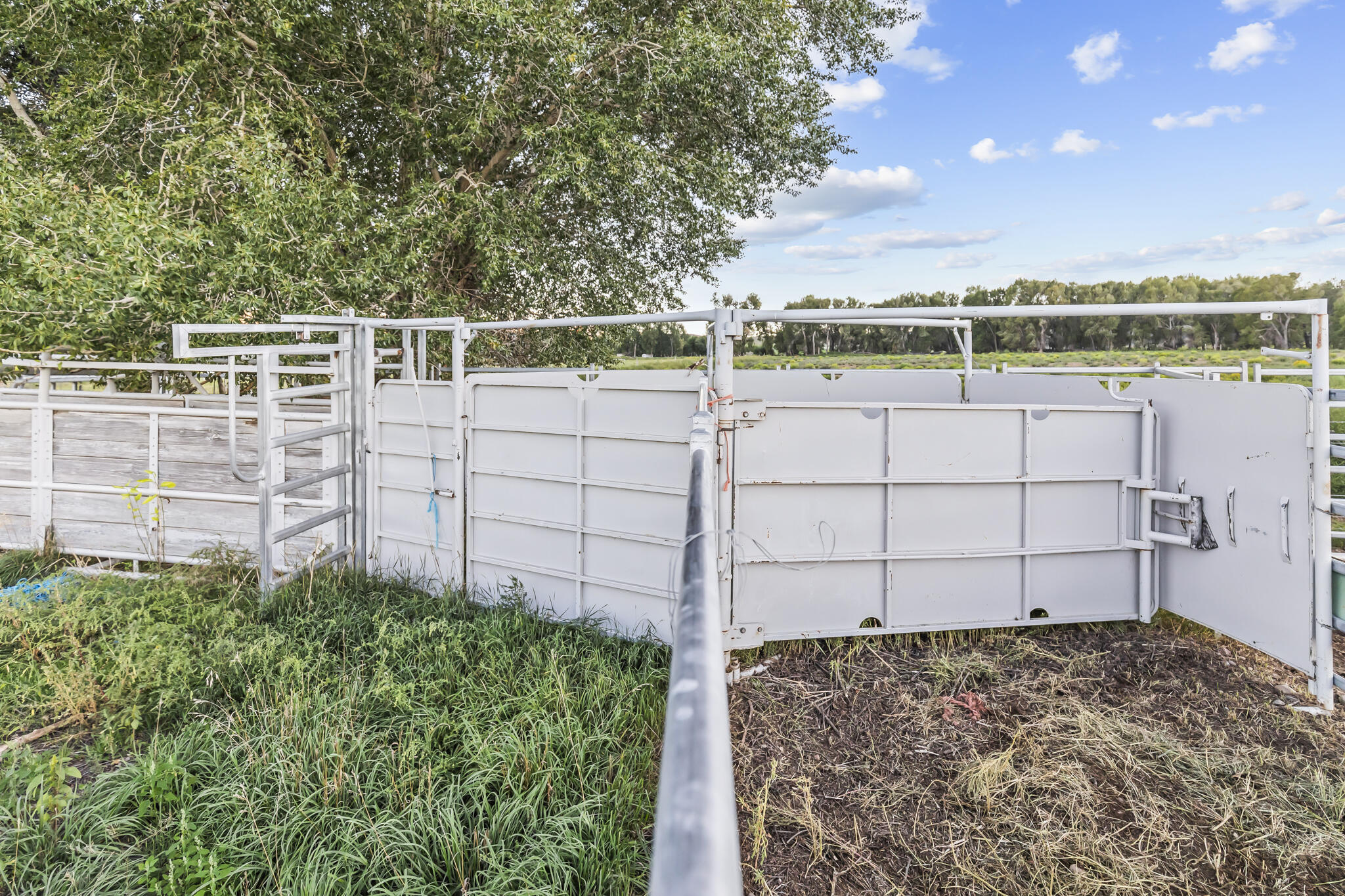 1240 South Black Cyn Road Antimony, UT 84712 - Photo 68 of 87 Cattle working equipment included.