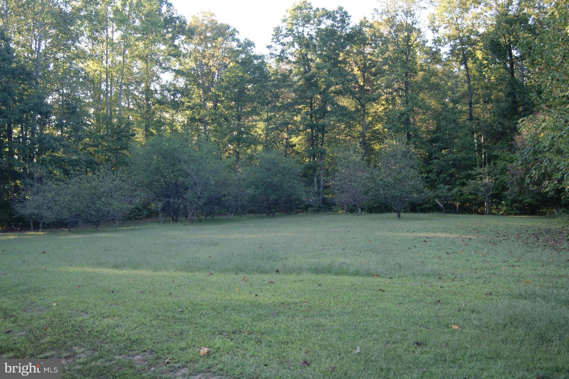 14089 Silver Hill Road Sumerduck, VA 22742 - Photo 8 of 24 Exterior (General)