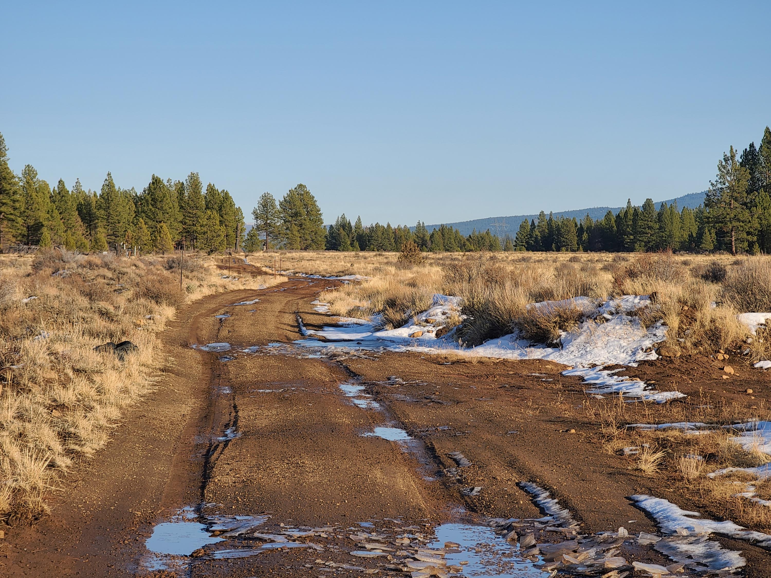 Lot 15 Yellow Pine Road Beatty, OR 97621 - Photo 6 of 6 20201121_150730