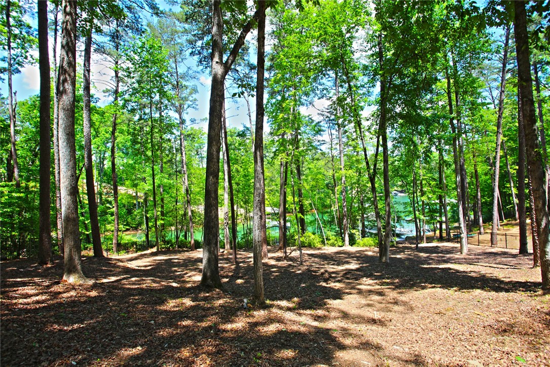 Lot 114 Harbor Point Seneca, SC 29672 - Photo 34 of 46 This serene wooded lot offers direct access to the tranquil lake.