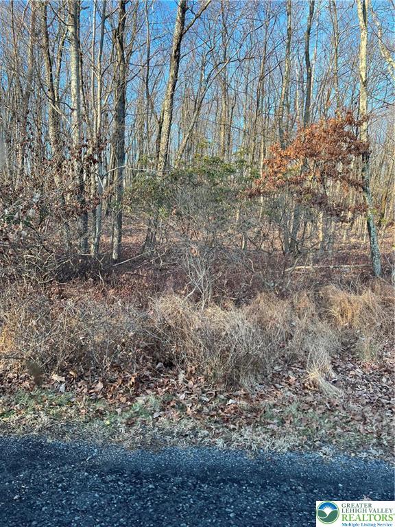 169 Yellow Run Road Jim Thorpe, PA 18229 - Photo 2 of 6 a backyard of a house with lots of green space