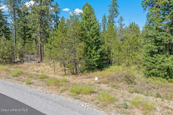 $345,000 | Lot 3 Dawson Loop, Athol, ID 83801