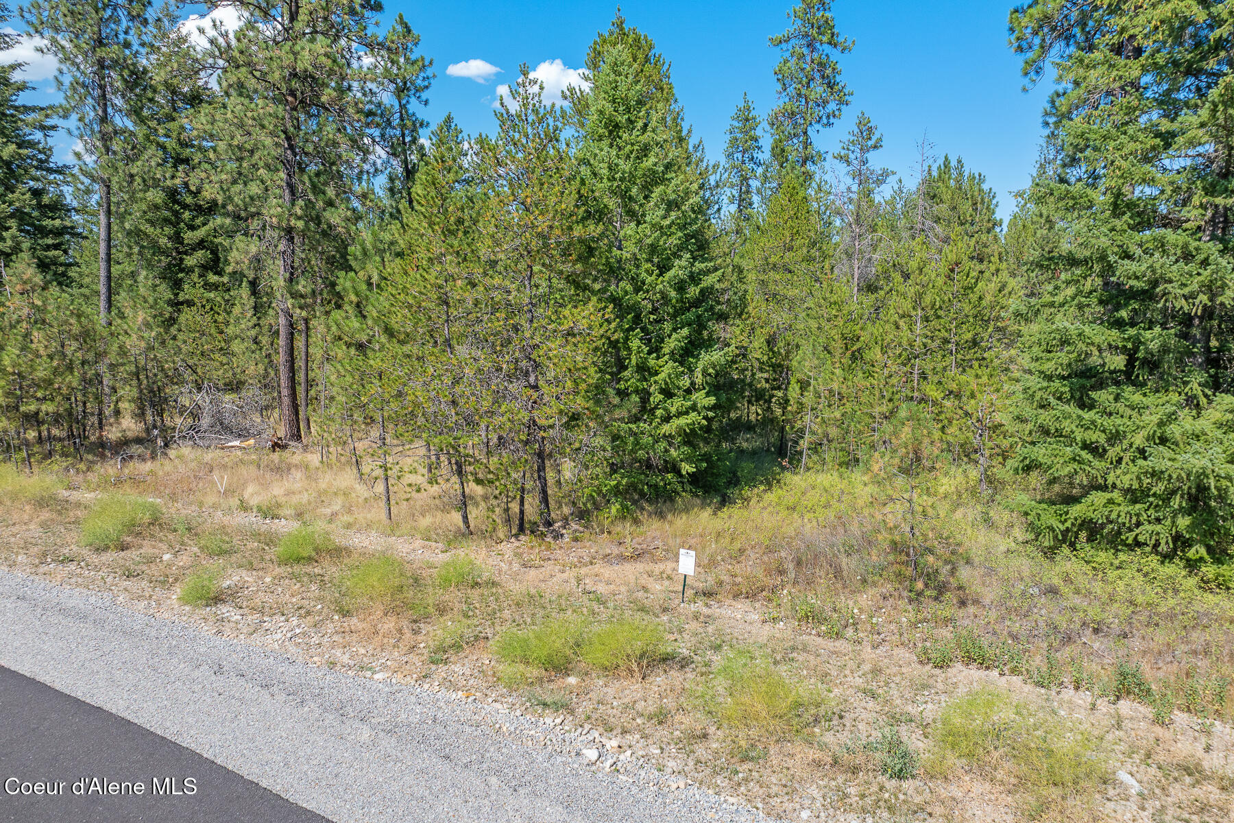 Lot 3 Dawson Loop Athol, ID 83801 - Photo 2 of 7 Lot 3 Block 1