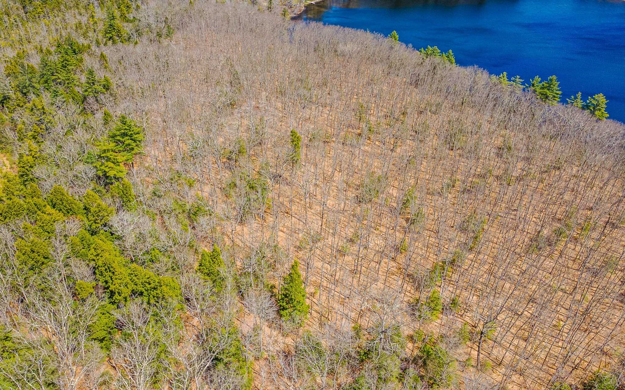 0 Forest Road Alstead, NH 03602 - Photo 5 of 12
