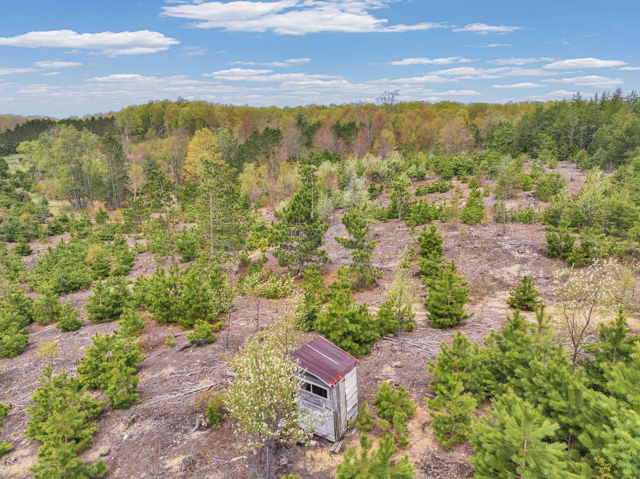 22386 16 Mile Road Leroy, MI 49655 - Photo 48 of 63