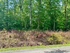 78 Holly Glen Road Decatur, TN 37322 - Photo 2 of 9 a view of a yard