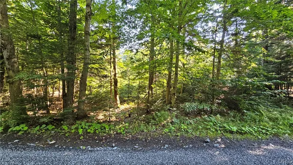 $425,000 | 0 Rowsam Road, Lowville, NY 13367