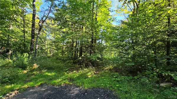 $425,000 | 0 Rowsam Road, Lowville, NY 13367