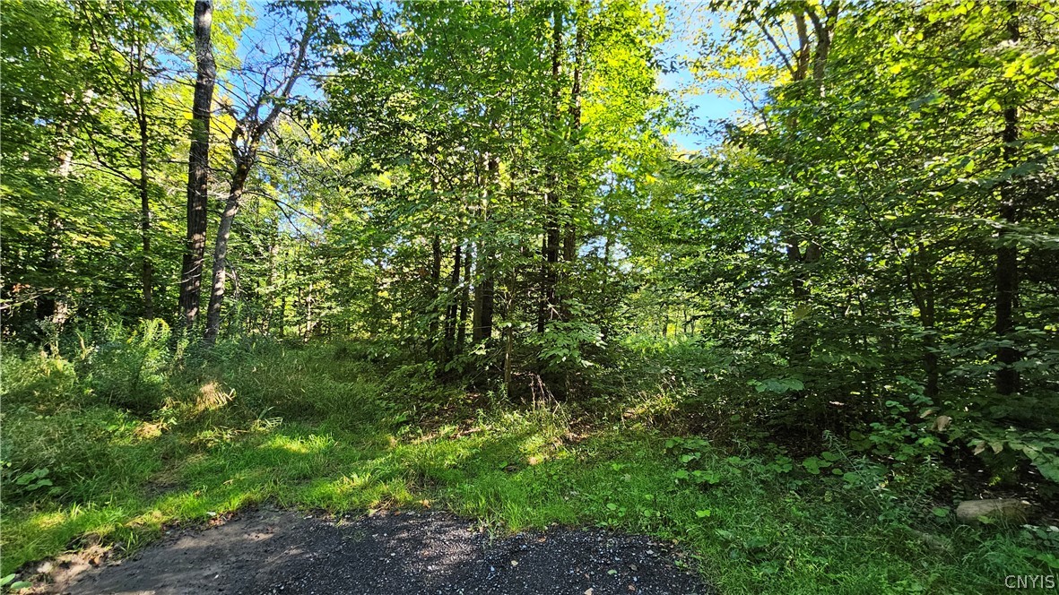 0 Rowsam Road Lowville, NY 13367 - Photo 3 of 9