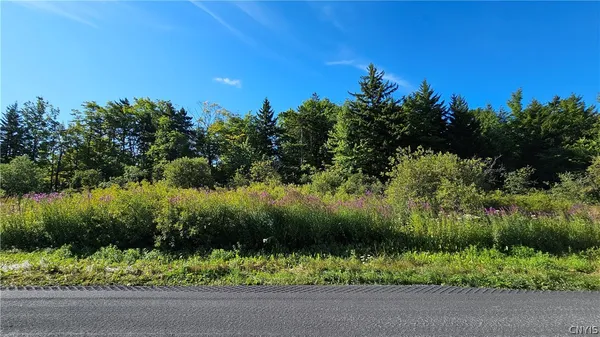 $425,000 | 0 Rowsam Road, Lowville, NY 13367