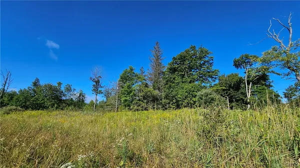 $425,000 | 0 Rowsam Road, Lowville, NY 13367