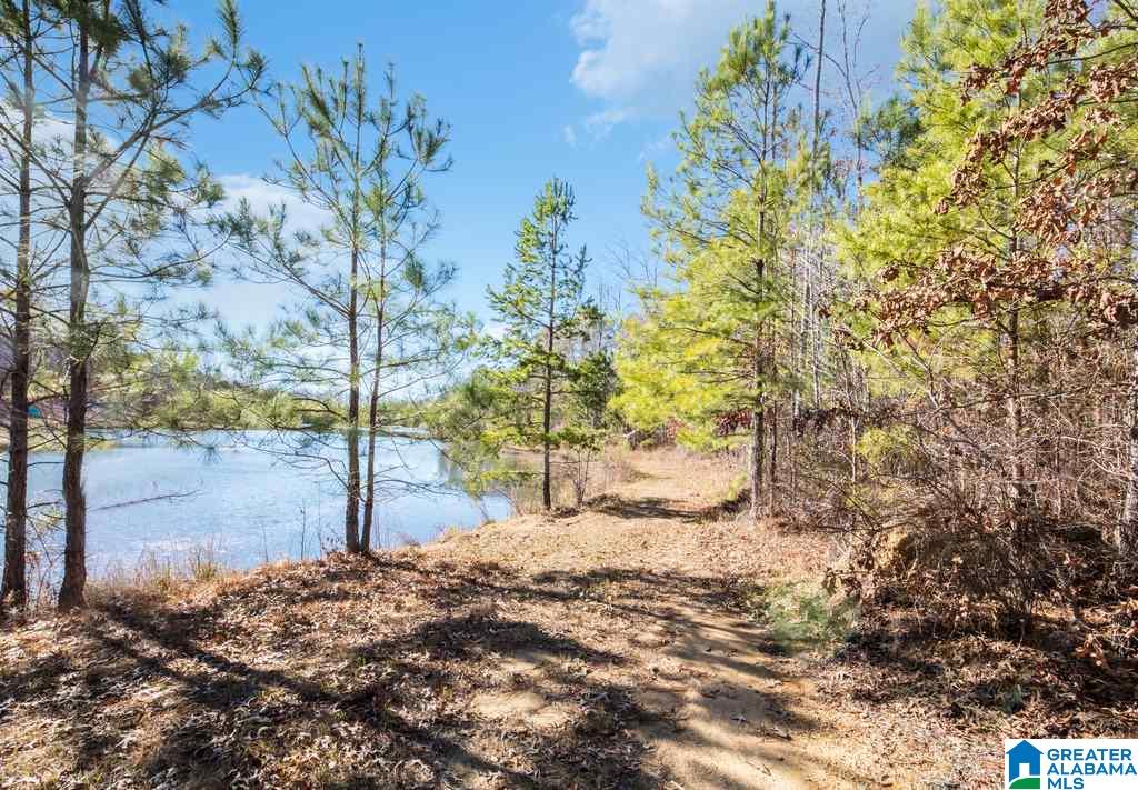4005 Laurel Lakes Way Helena, AL 35022 - Photo 34 of 35