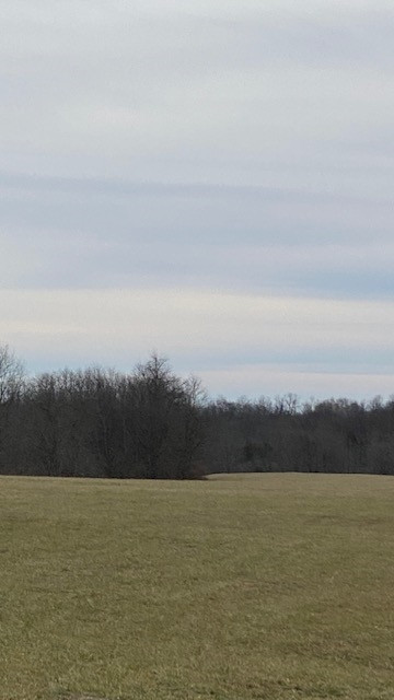 215-5 Peaceful Hollow Road Dry Ridge, KY 41035 - Photo 4 of 12
