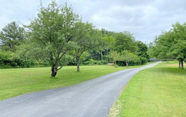 Tree Lined private Drive way
