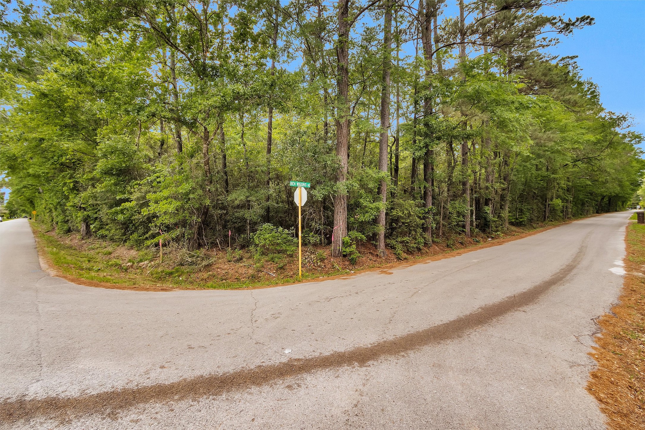 15711 Tree Monkey Road Conroe, TX 77303 - Photo 3 of 7