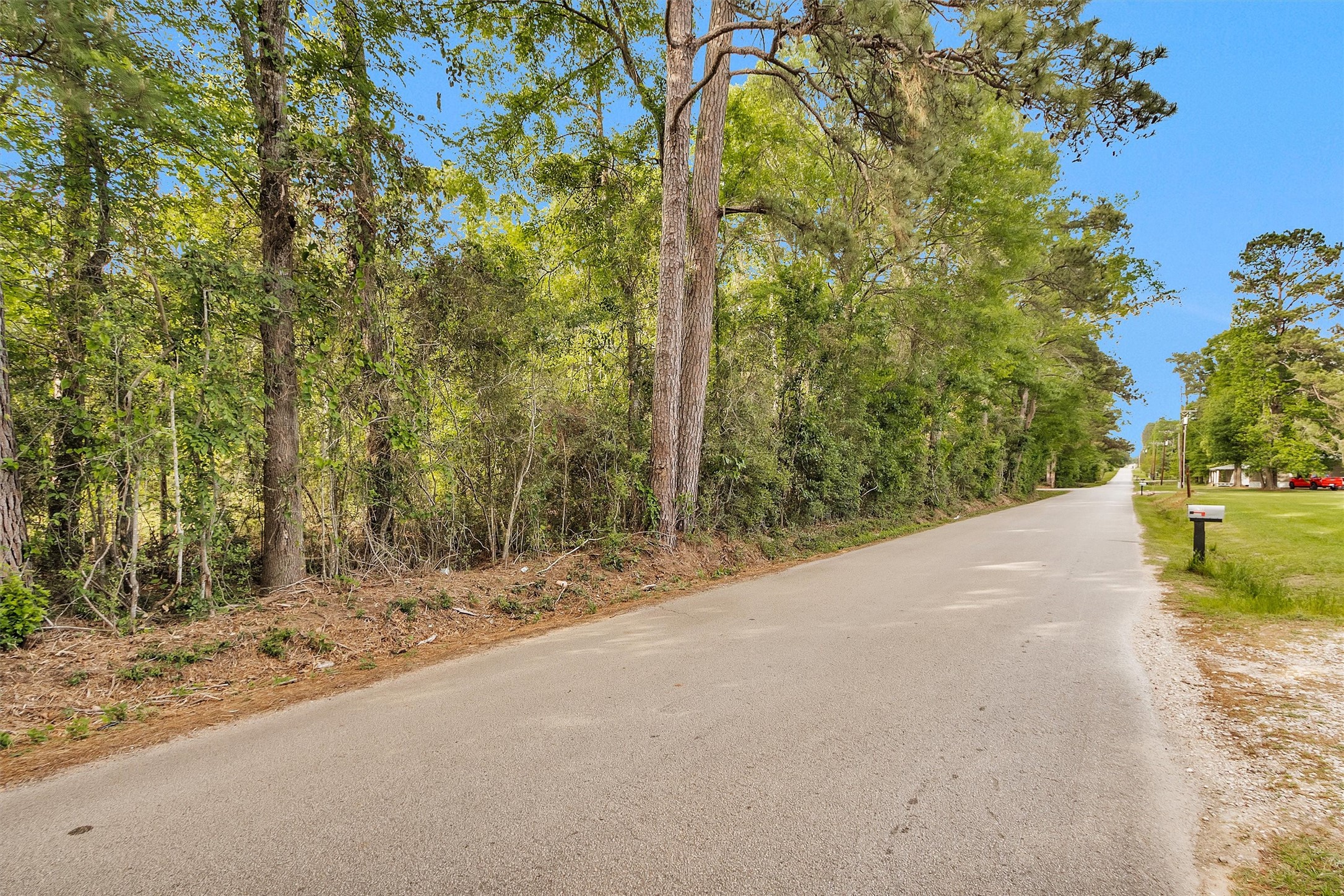 15711 Tree Monkey Road Conroe, TX 77303 - Photo 4 of 7