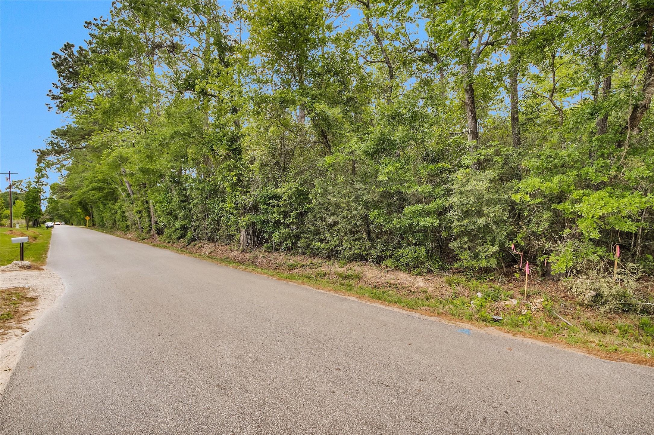 15711 Tree Monkey Road Conroe, TX 77303 - Photo 5 of 7