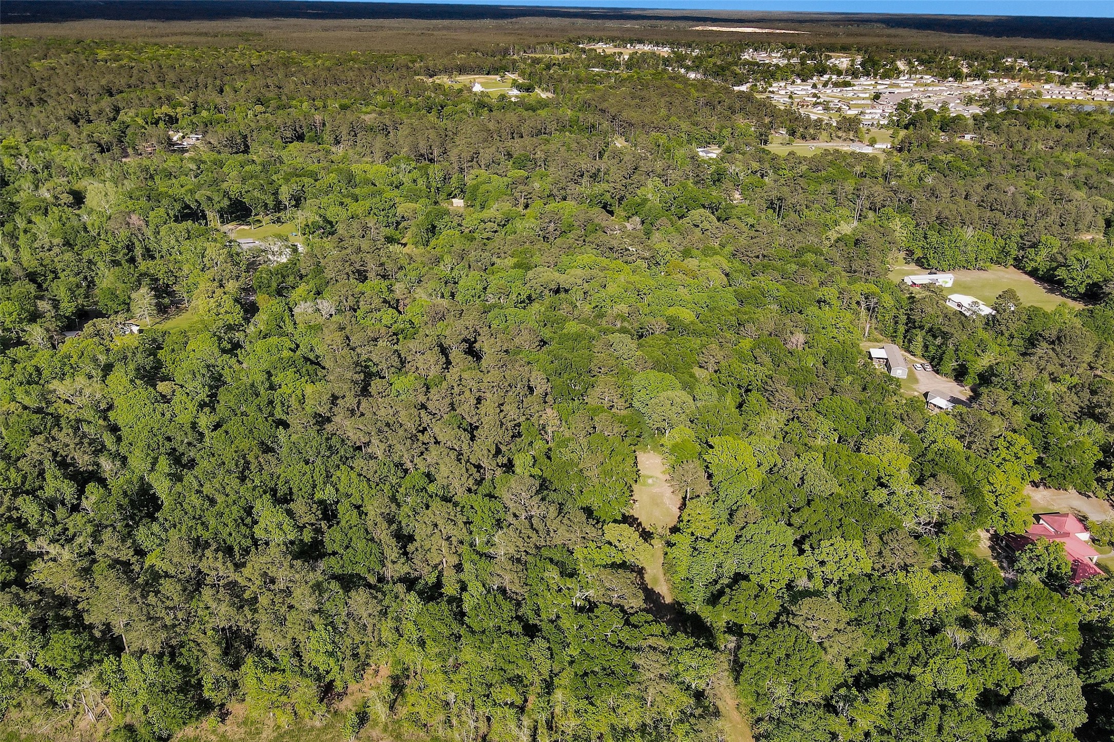 15711 Tree Monkey Road Conroe, TX 77303 - Photo 6 of 7