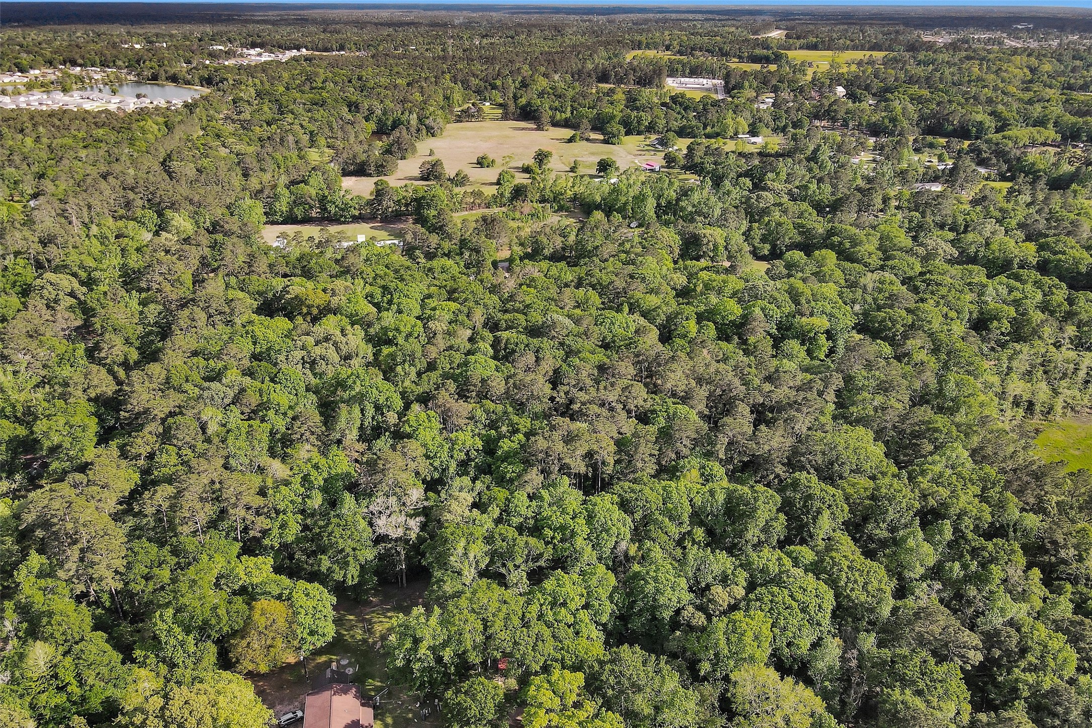 15711 Tree Monkey Road Conroe, TX 77303 - Photo 7 of 7