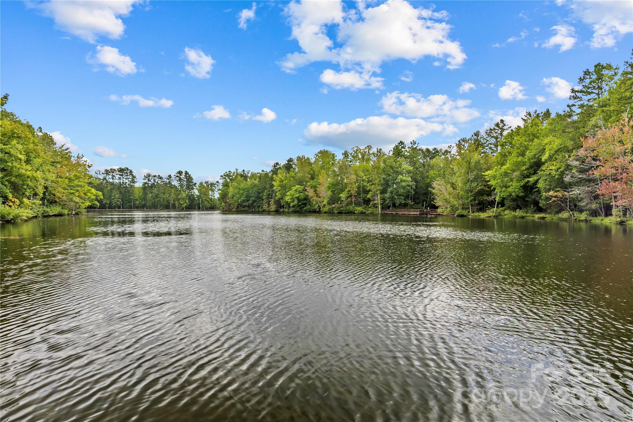 8097 Asher Chase Trail Lancaster, SC 29720 - Photo 43 of 47 a view of lake