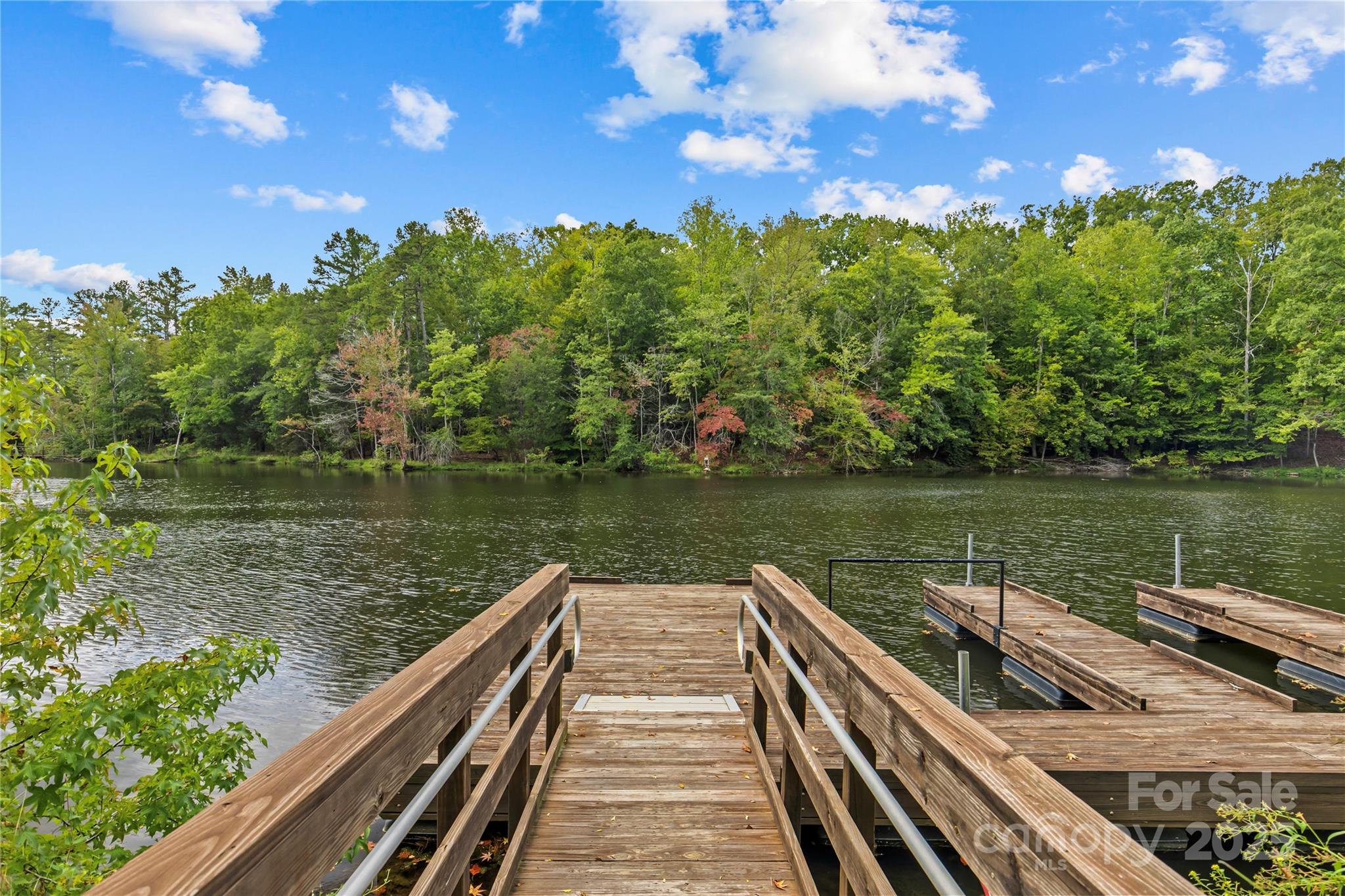 8097 Asher Chase Trail Lancaster, SC 29720 - Photo 44 of 47 a lake view with a lake view