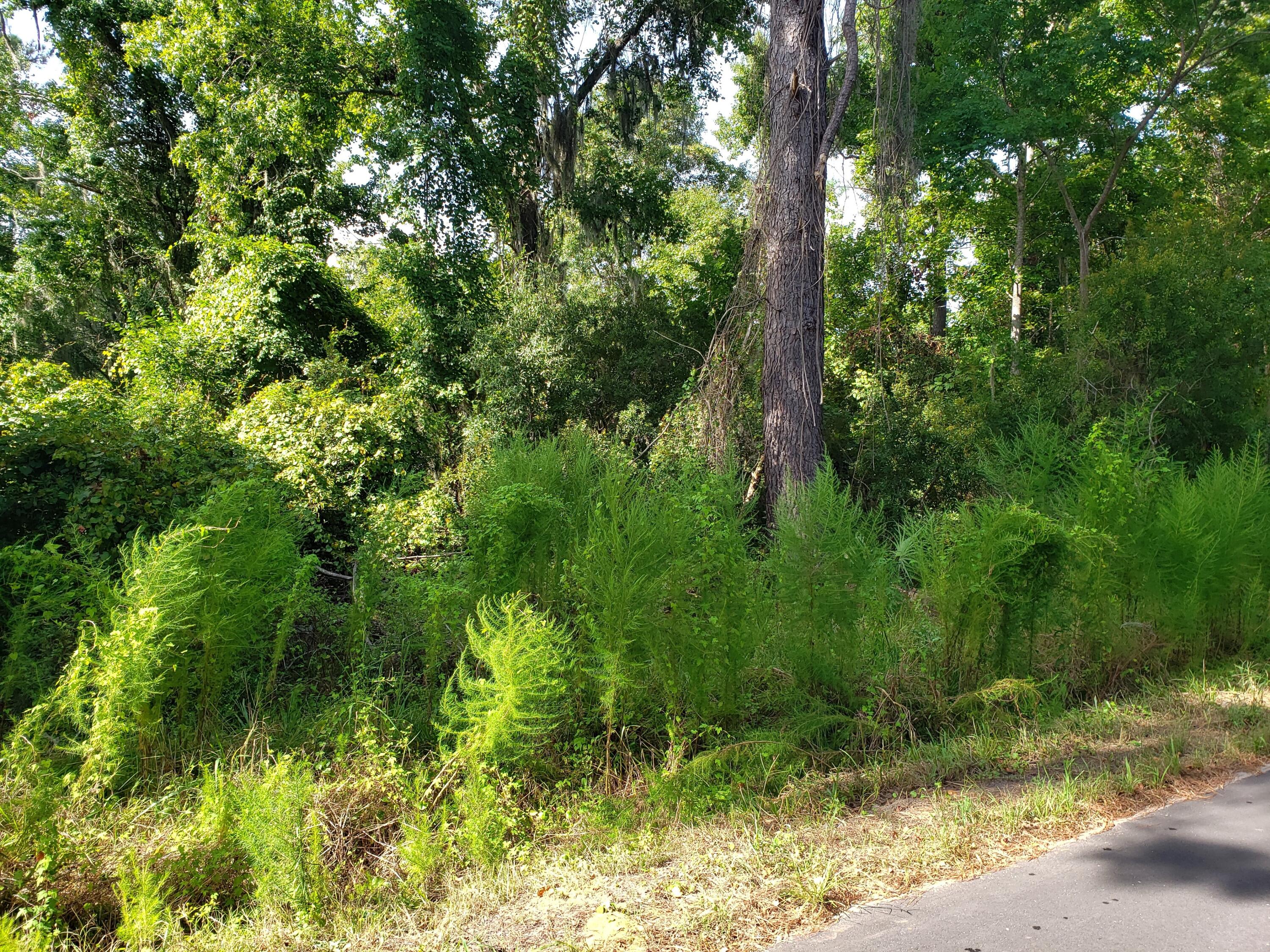 8325 Shell House Road Edisto Island, SC 29438 - Photo 3 of 25 3