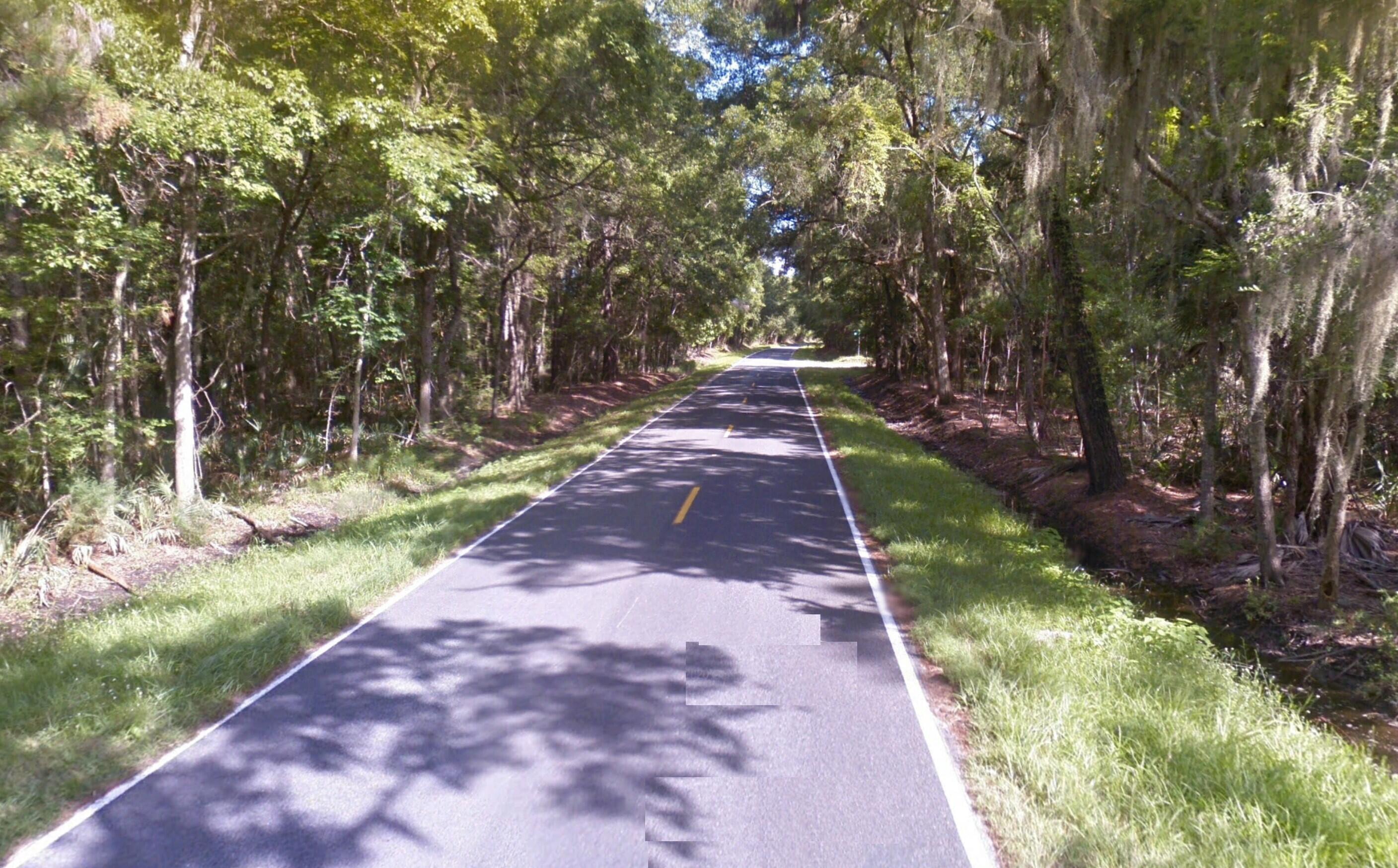 8325 Shell House Road Edisto Island, SC 29438 - Photo 4 of 25 4