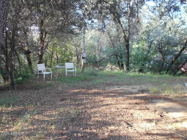 a view of a yard