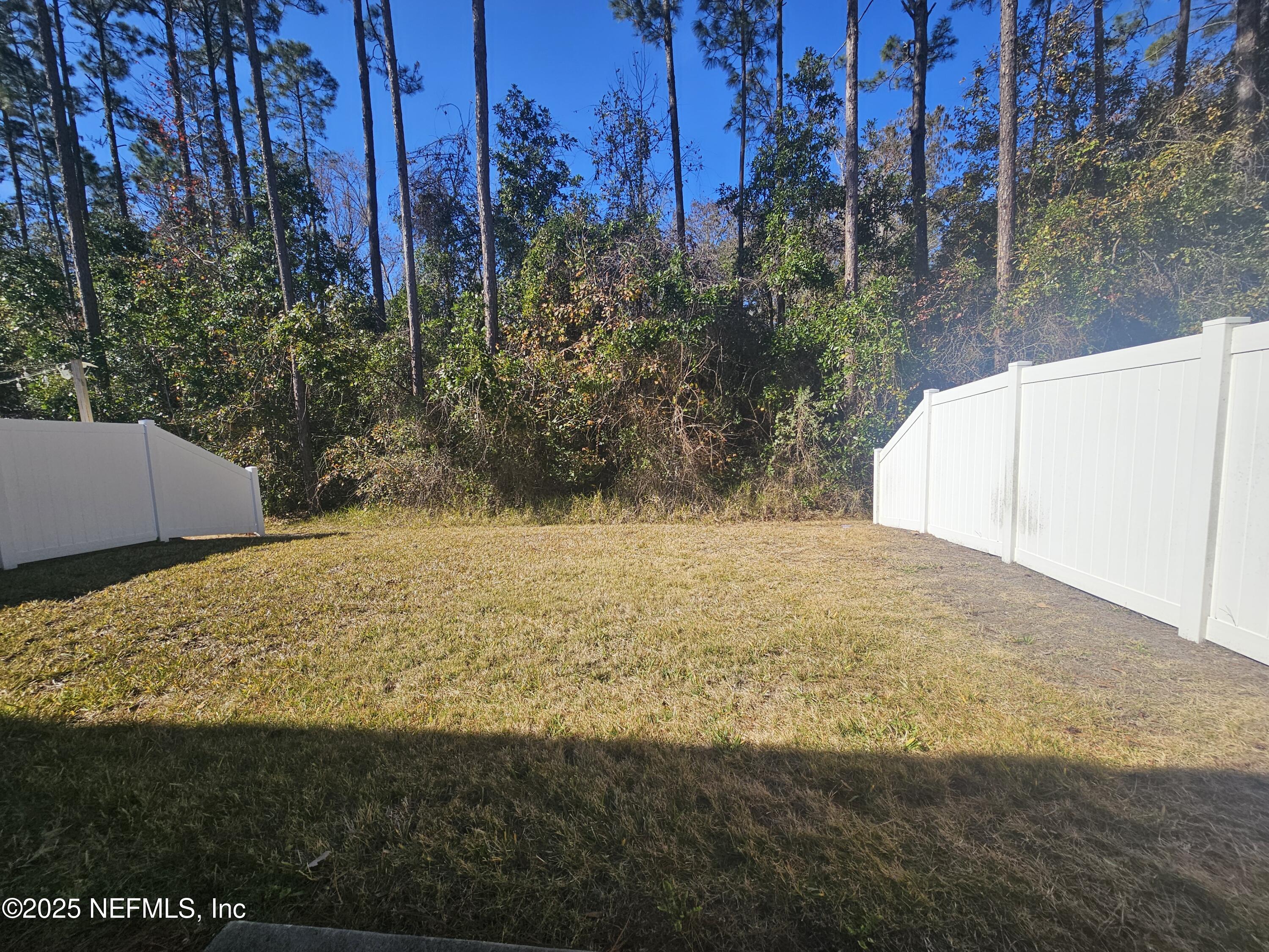 444 Servia Drive St. Johns, FL 32259 - Photo 10 of 16 Backyard
