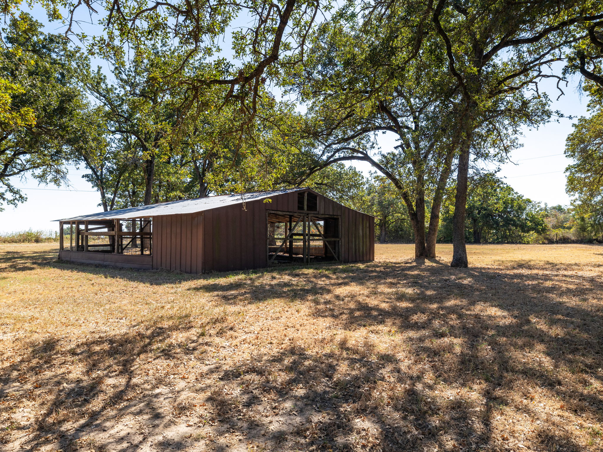 1949 County Road 347 Loop Gause, TX 77857 - Photo 28 of 32 a backyard of a house with large trees