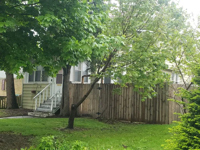 a view of a backyard with a tree