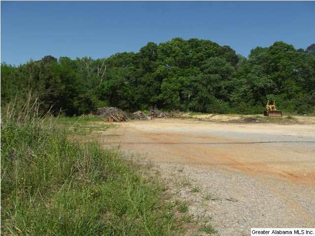 6719 Trussville Clay Road Pinson, AL 35126 - Photo 2 of 5