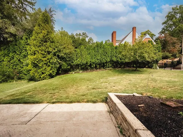 a view of a trees with a yard
