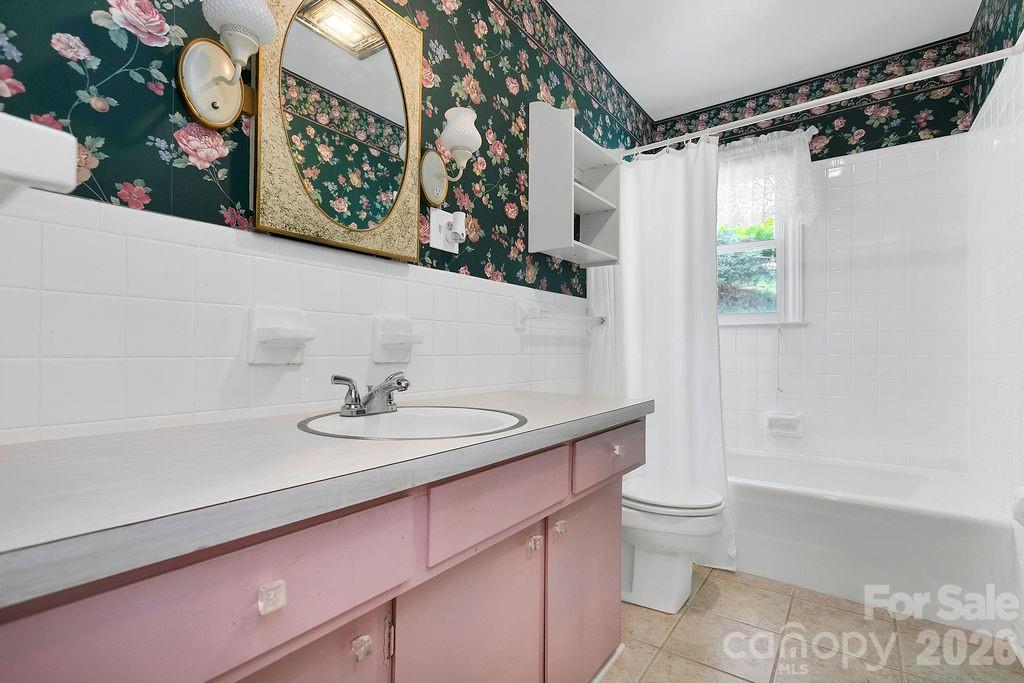 1482 Island Ford Road Brevard, NC 28712 - Photo 19 of 48 a bathroom with a sink a toilet and shower