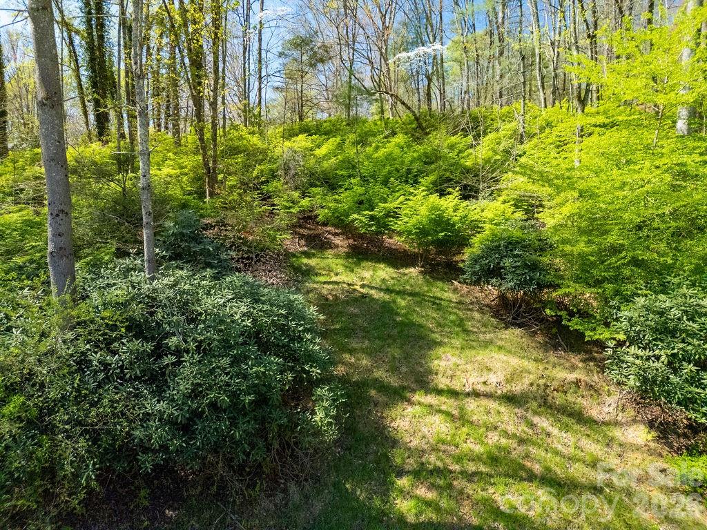 1482 Island Ford Road Brevard, NC 28712 - Photo 40 of 48
