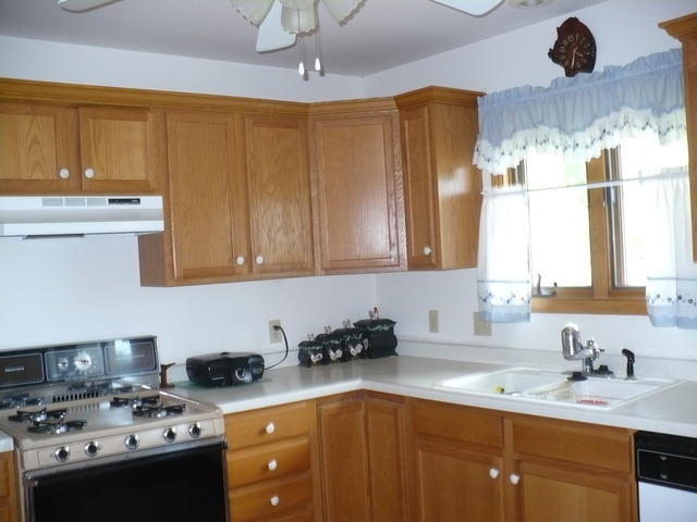 202 Roy Avenue Rochelle, IL 61068 - Photo 4 of 22