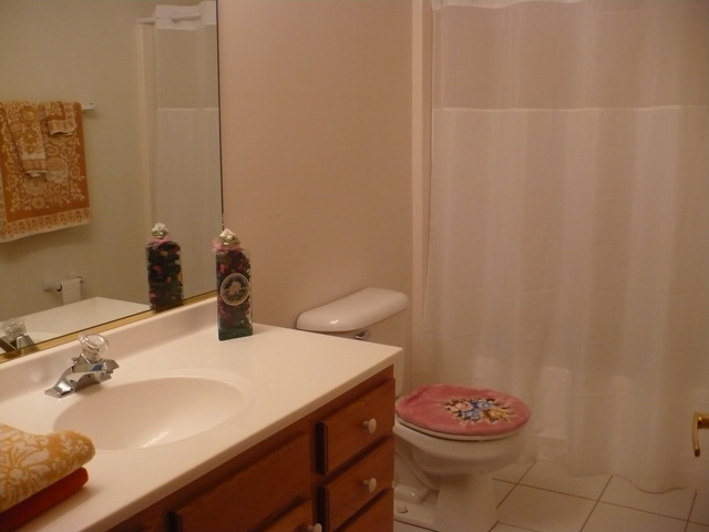 202 Roy Avenue Rochelle, IL 61068 - Photo 8 of 22