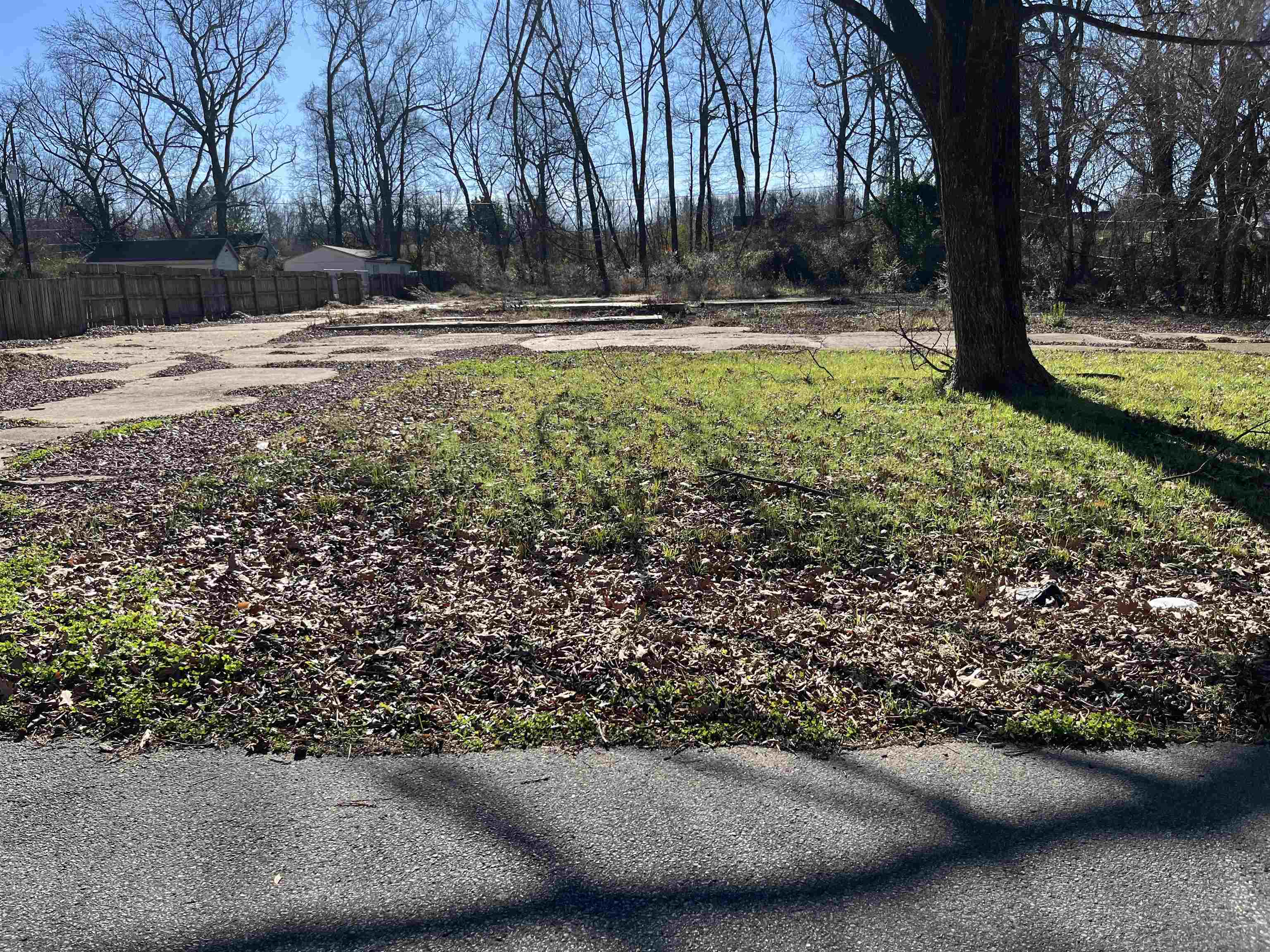 1133 Saunders Avenue Memphis, TN 38127 - Photo 3 of 3 a view of swimming pool with a yard