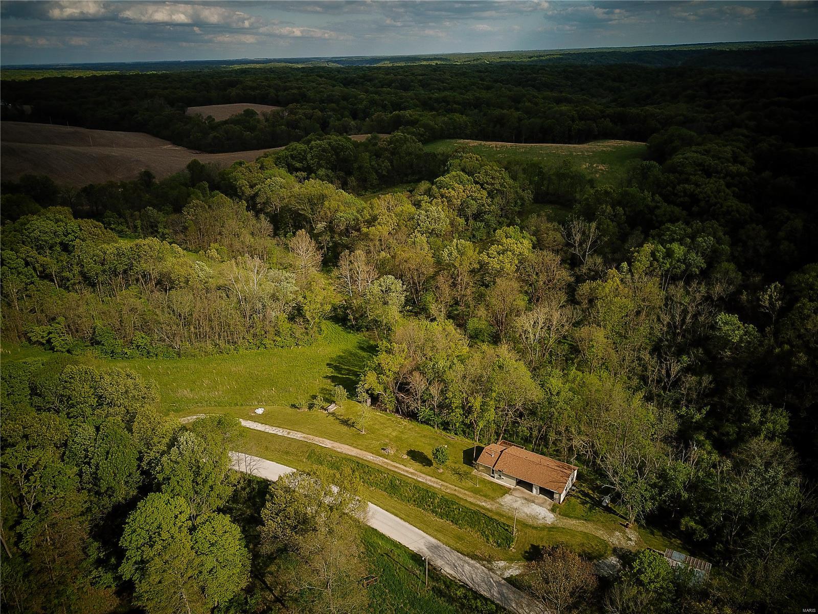 14769 Nutwood Road Fieldon, IL 62031 - Photo 1 of 15 Gallery Image 1