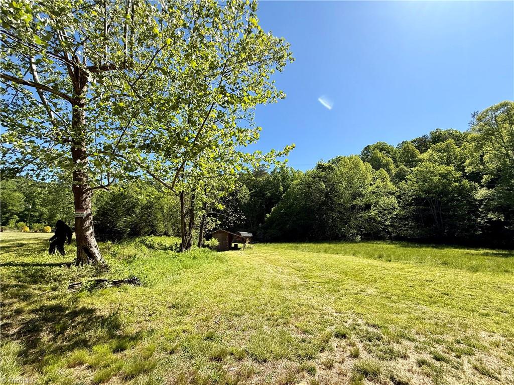 1038 Blackburn Hollow Road Purlear, NC 28665 - Photo 6 of 31