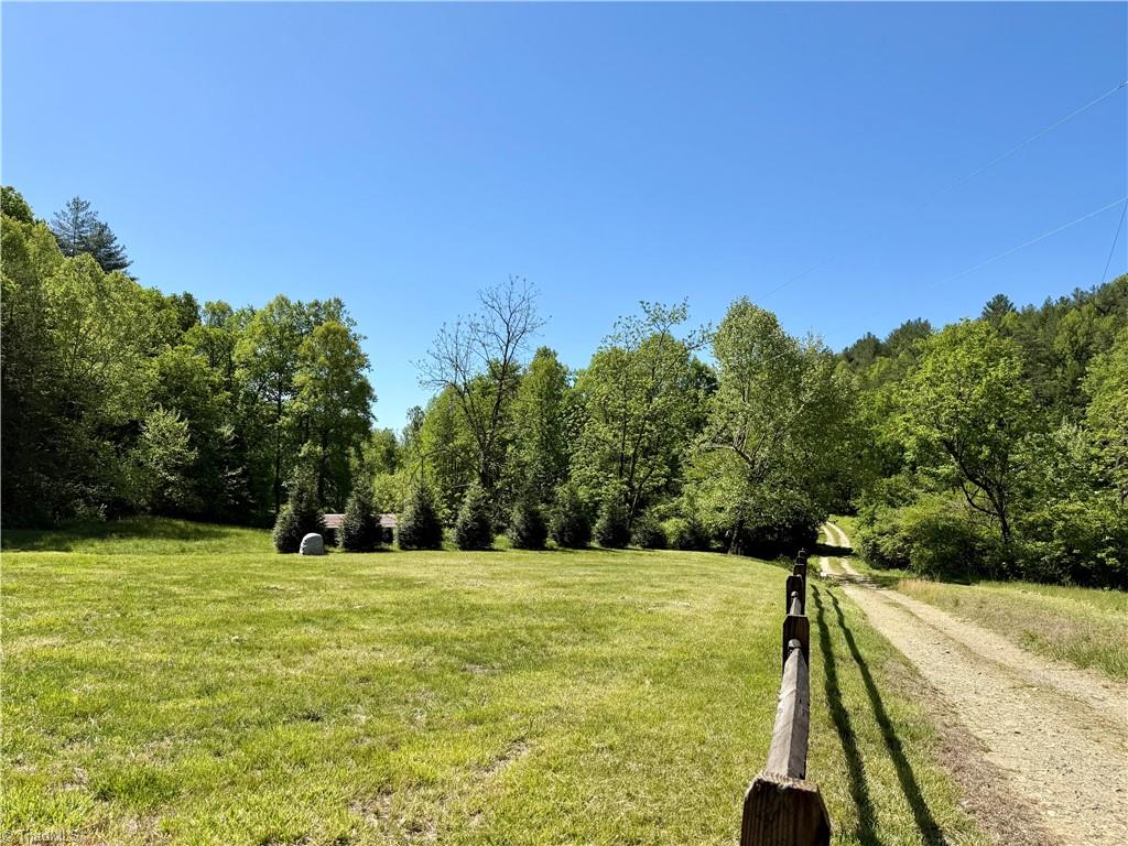 1038 Blackburn Hollow Road Purlear, NC 28665 - Photo 7 of 31