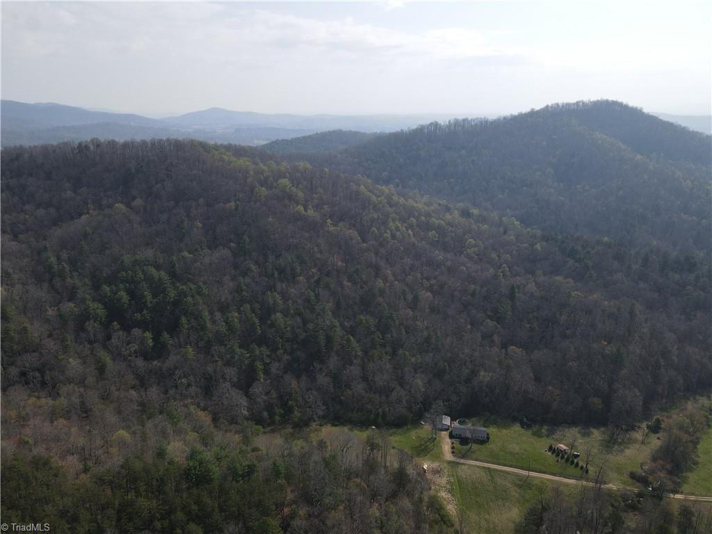 1038 Blackburn Hollow Road Purlear, NC 28665 - Photo 10 of 31
