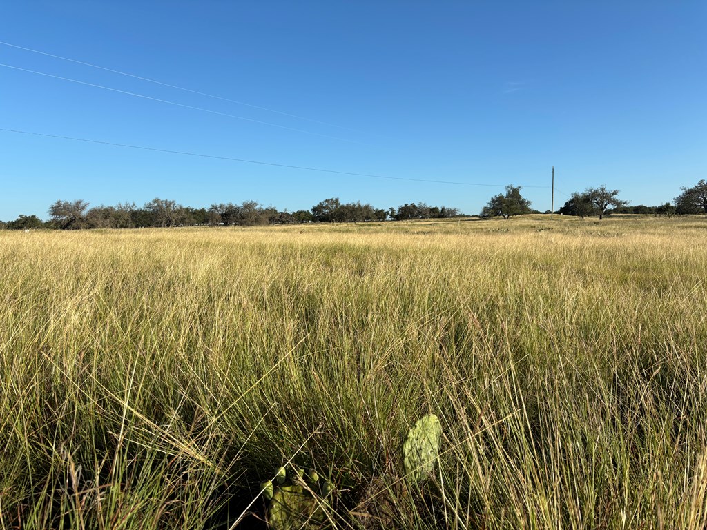 183 Lipan Loop, Unit 20 Harper, TX 78631 - Photo 5 of 14 a view of a lake view