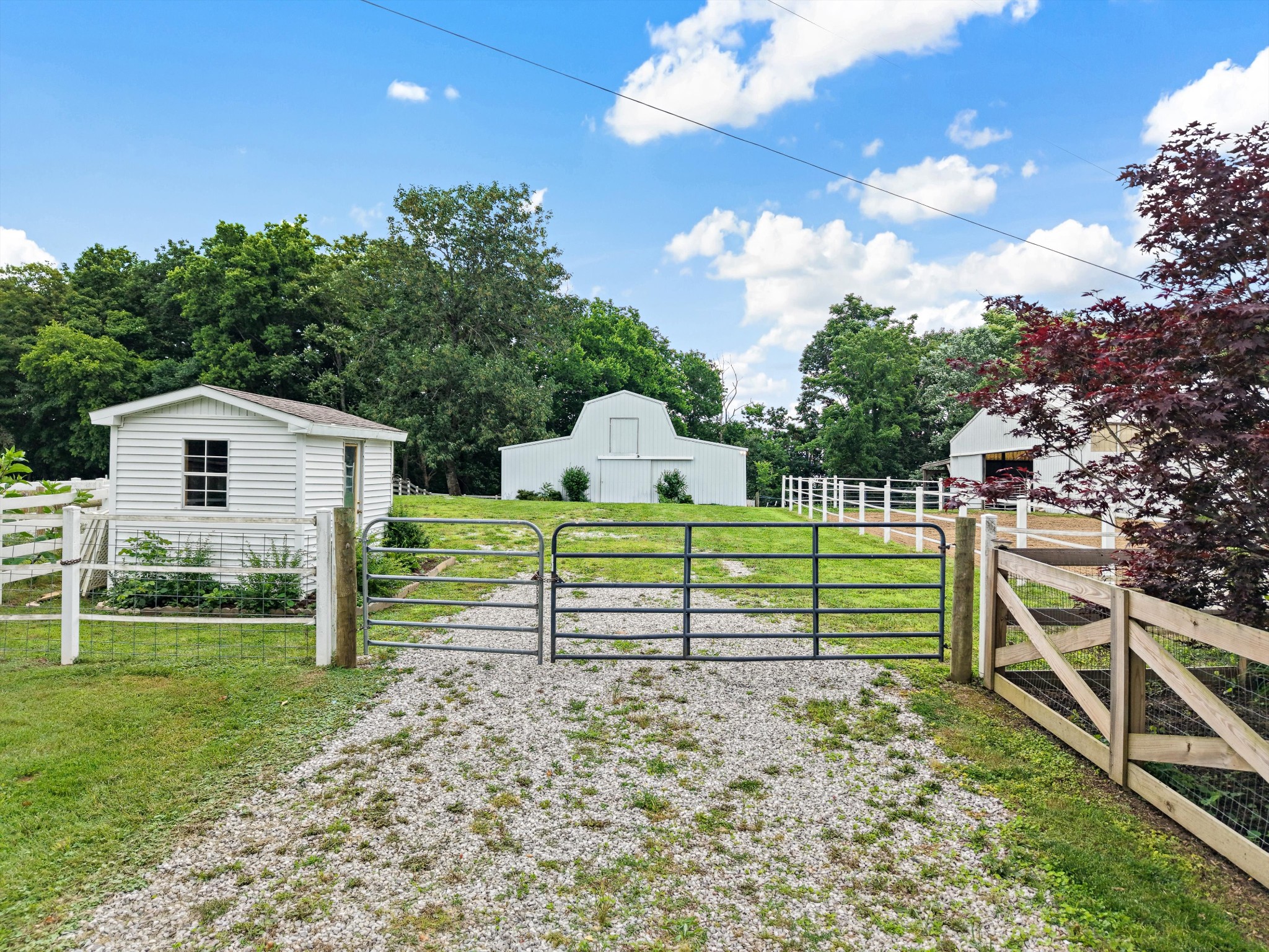 1967 Liebengood Road Goodlettsville, TN 37072 - Photo 11 of 57 a view of a deck with a yard
