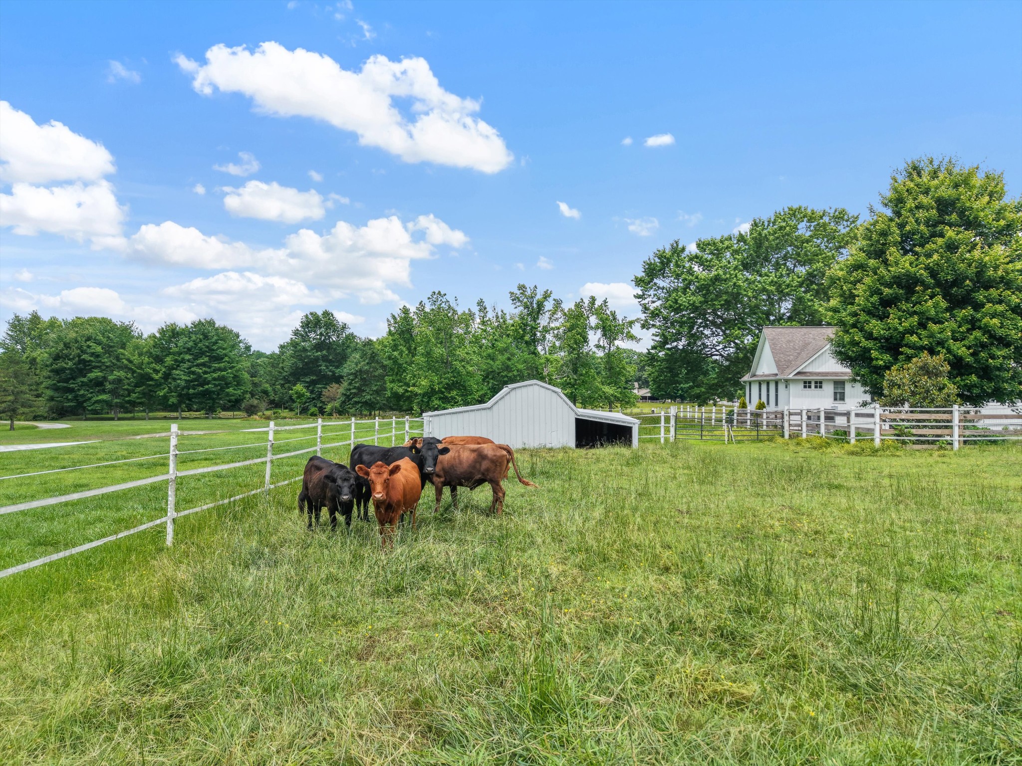 1967 Liebengood Road Goodlettsville, TN 37072 - Photo 14 of 57 a view of a garden